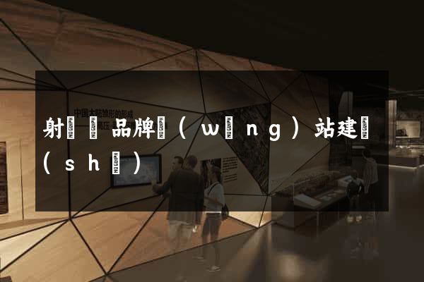 射陽縣品牌網(wǎng)站建設(shè)