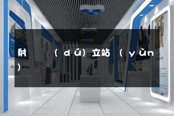 射陽縣獨(dú)立站運(yùn)營