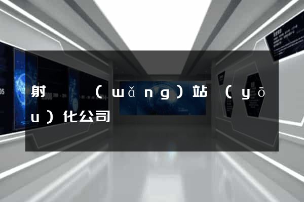 射陽縣網(wǎng)站優(yōu)化公司