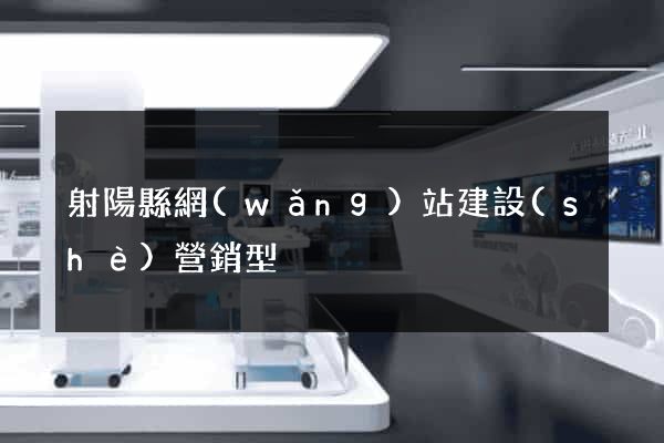 射陽縣網(wǎng)站建設(shè)營銷型