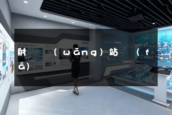 射陽縣網(wǎng)站開發(fā)