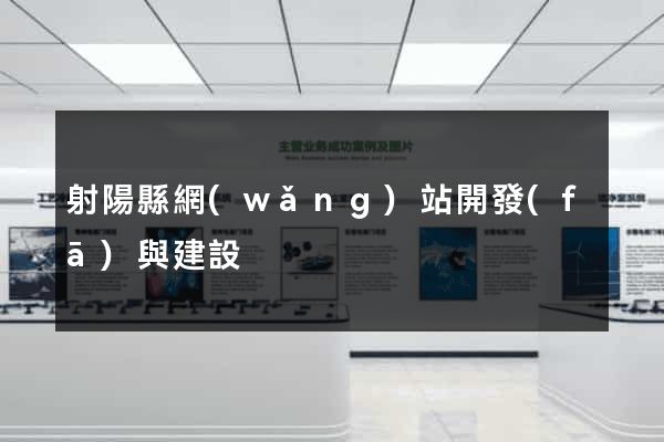 射陽縣網(wǎng)站開發(fā)與建設