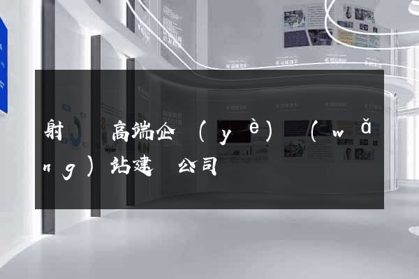 射陽縣高端企業(yè)網(wǎng)站建設公司