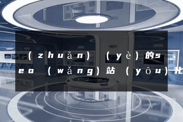 專(zhuān)業(yè)的seo網(wǎng)站優(yōu)化