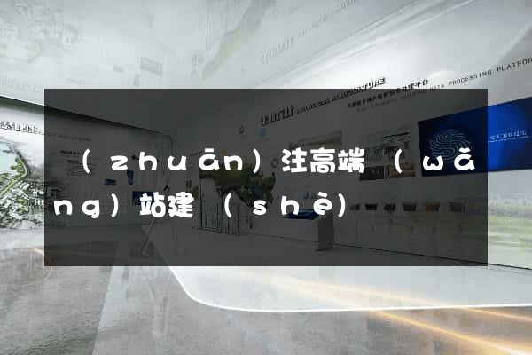 專(zhuān)注高端網(wǎng)站建設(shè)