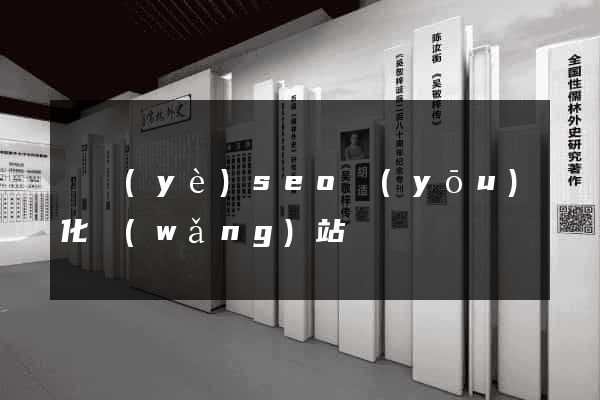 專業(yè)seo優(yōu)化網(wǎng)站