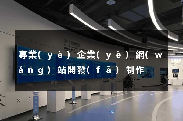 專業(yè)企業(yè)網(wǎng)站開發(fā)制作