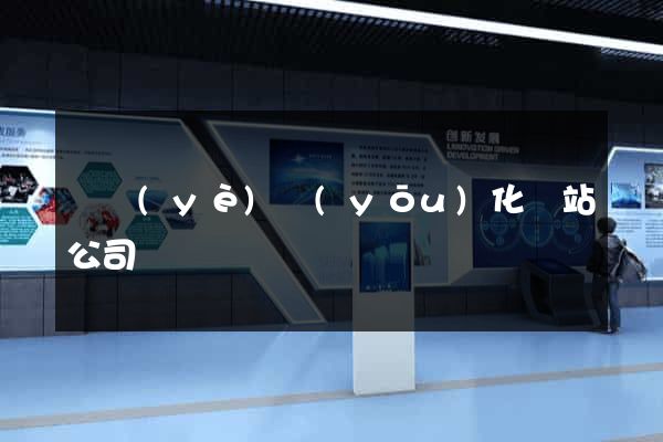 專業(yè)優(yōu)化網站公司