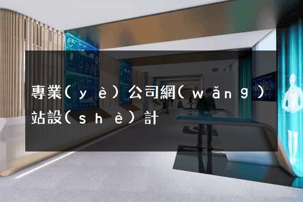 專業(yè)公司網(wǎng)站設(shè)計