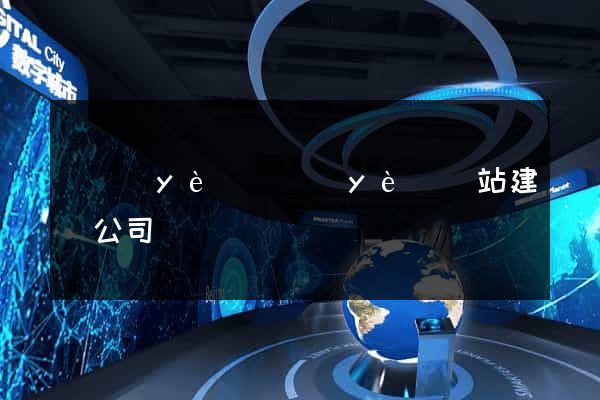 專業(yè)專業(yè)網站建設公司