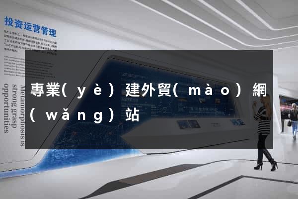 專業(yè)建外貿(mào)網(wǎng)站