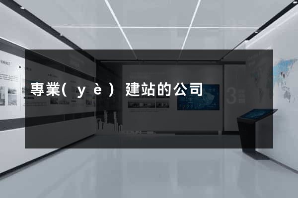 專業(yè)建站的公司