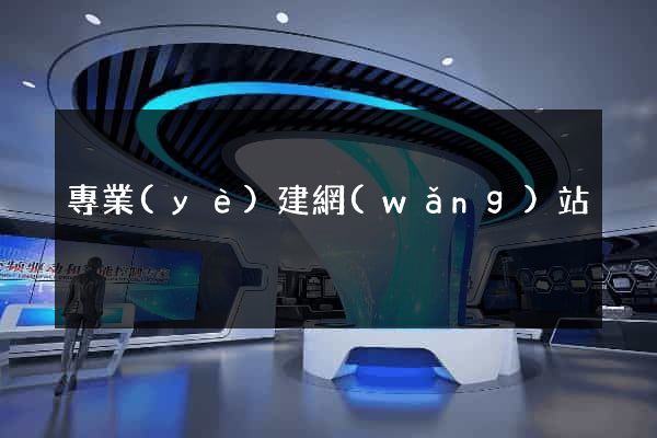 專業(yè)建網(wǎng)站
