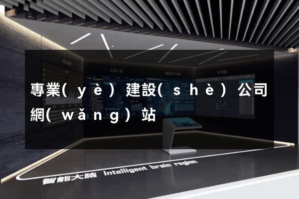 專業(yè)建設(shè)公司網(wǎng)站