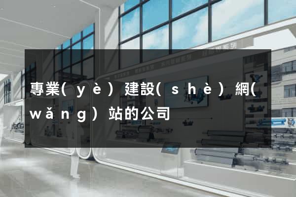 專業(yè)建設(shè)網(wǎng)站的公司