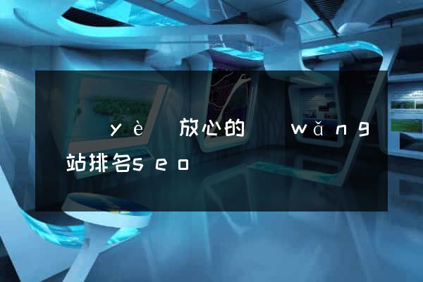 專業(yè)放心的網(wǎng)站排名seo