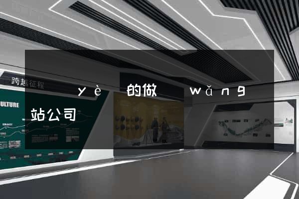 專業(yè)的做網(wǎng)站公司