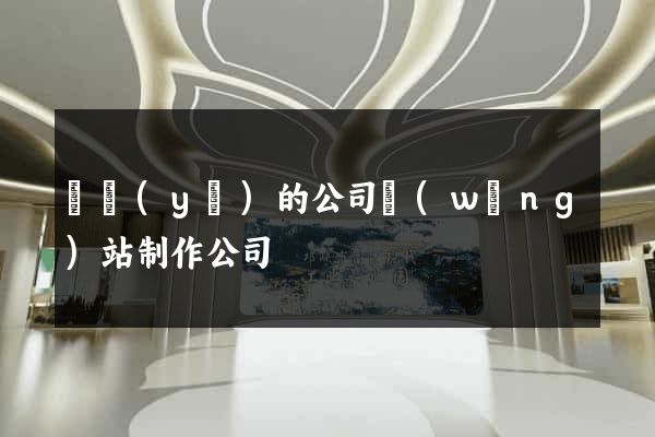 專業(yè)的公司網(wǎng)站制作公司