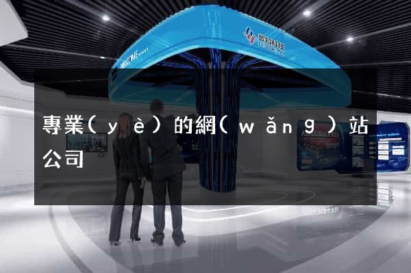 專業(yè)的網(wǎng)站公司