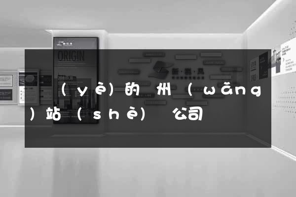 專業(yè)的鄭州網(wǎng)站設(shè)計公司