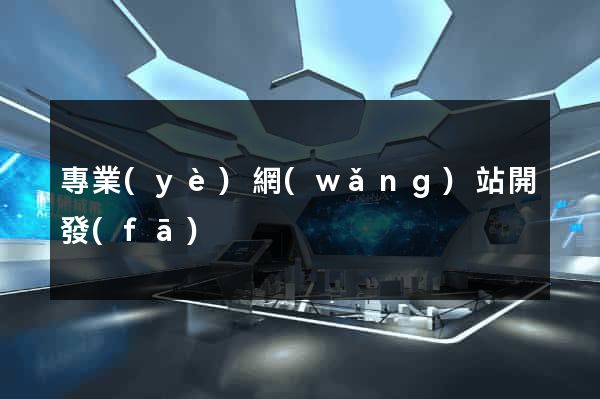 專業(yè)網(wǎng)站開發(fā)