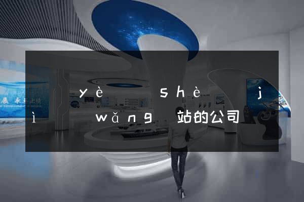 專業(yè)設(shè)計(jì)網(wǎng)站的公司
