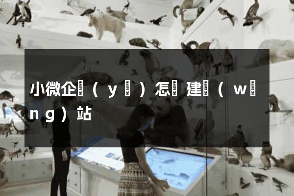 小微企業(yè)怎樣建網(wǎng)站