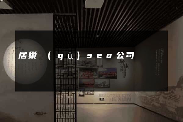居巢區(qū)seo公司
