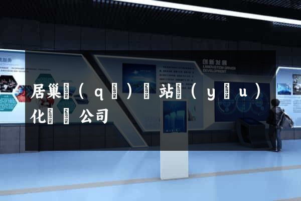 居巢區(qū)網站優(yōu)化設計公司