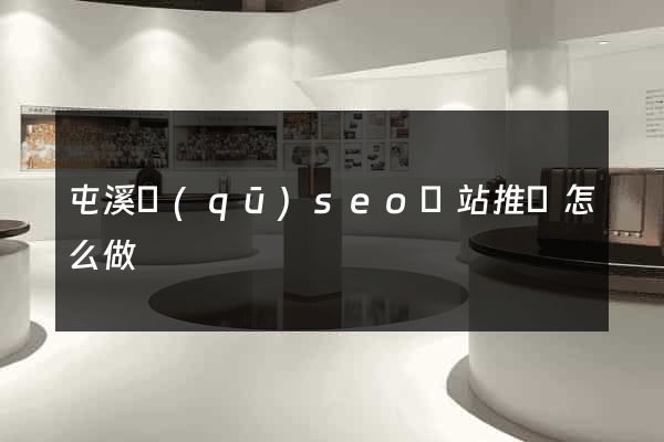 屯溪區(qū)seo網站推廣怎么做
