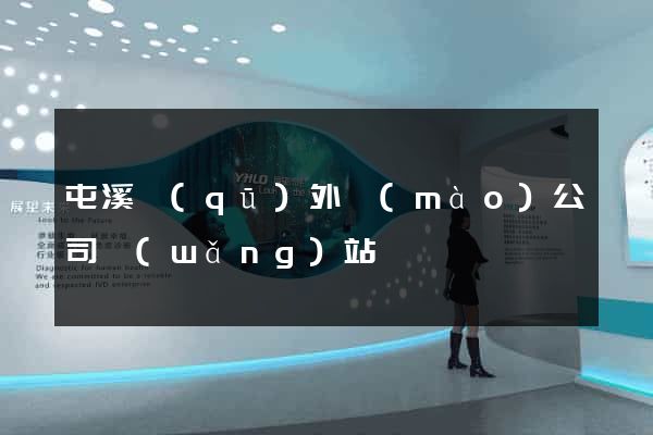 屯溪區(qū)外貿(mào)公司網(wǎng)站