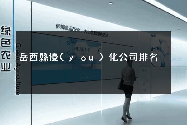 岳西縣優(yōu)化公司排名