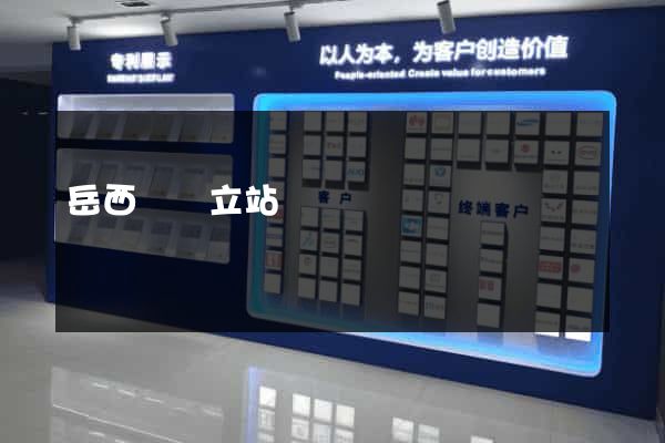 岳西縣獨立站運營