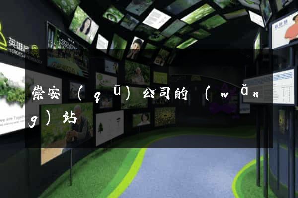 崇安區(qū)公司的網(wǎng)站