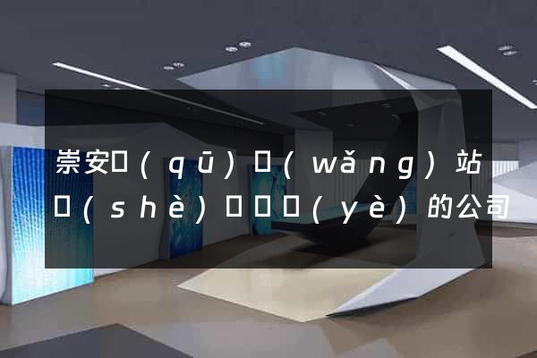 崇安區(qū)網(wǎng)站設(shè)計專業(yè)的公司