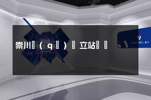 崇川區(qū)獨立站運營