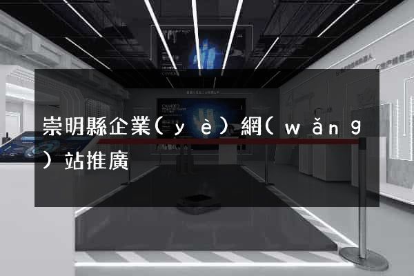 崇明縣企業(yè)網(wǎng)站推廣
