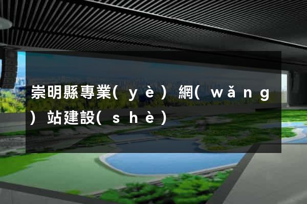 崇明縣專業(yè)網(wǎng)站建設(shè)
