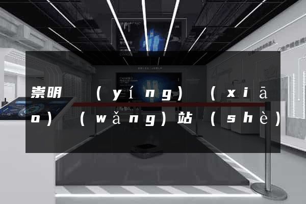 崇明縣營(yíng)銷(xiāo)網(wǎng)站設(shè)計(jì)