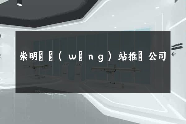 崇明縣網(wǎng)站推廣公司