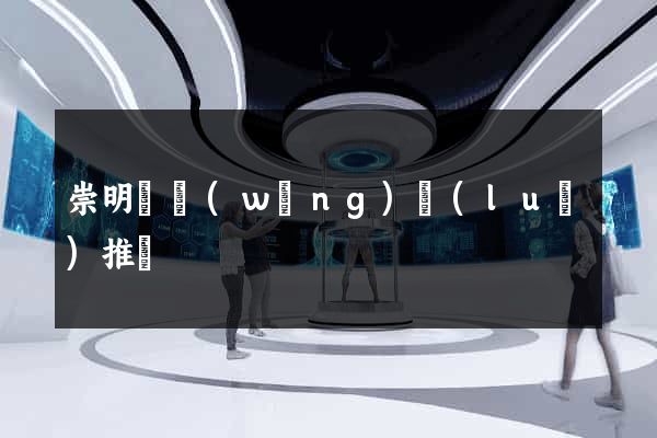 崇明縣網(wǎng)絡(luò)推廣