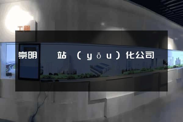 崇明縣網站優(yōu)化公司