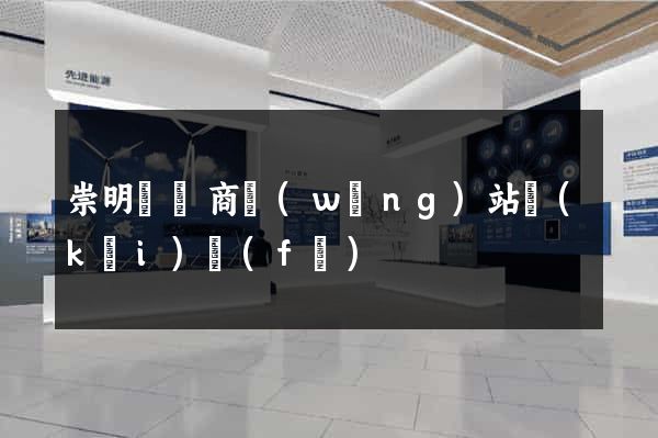 崇明縣電商網(wǎng)站開(kāi)發(fā)