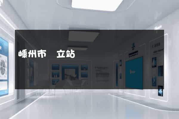 嵊州市獨立站運營