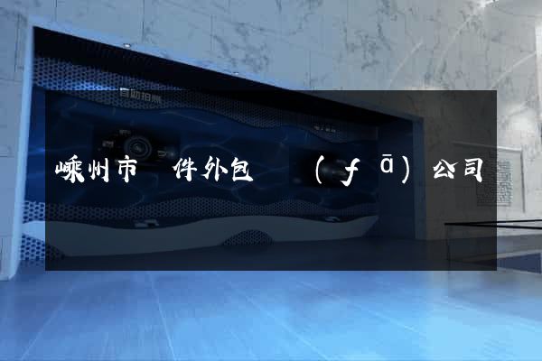 嵊州市軟件外包開發(fā)公司