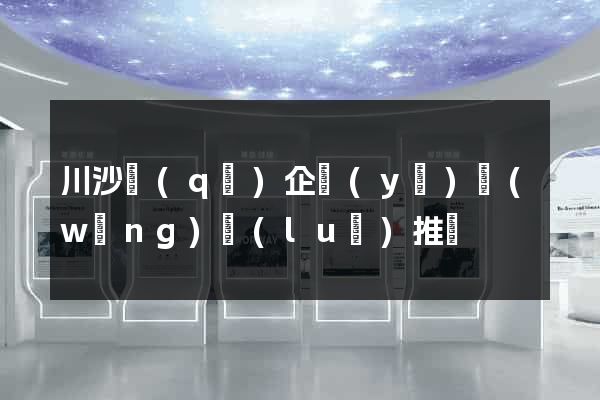 川沙區(qū)企業(yè)網(wǎng)絡(luò)推廣