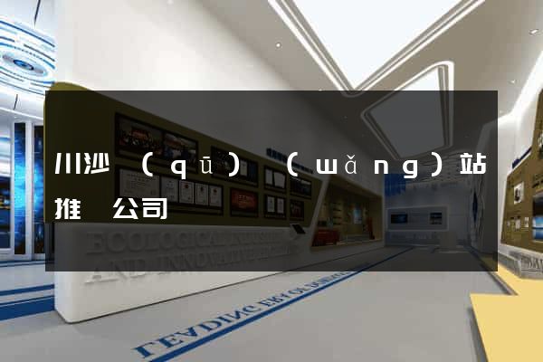川沙區(qū)網(wǎng)站推廣公司