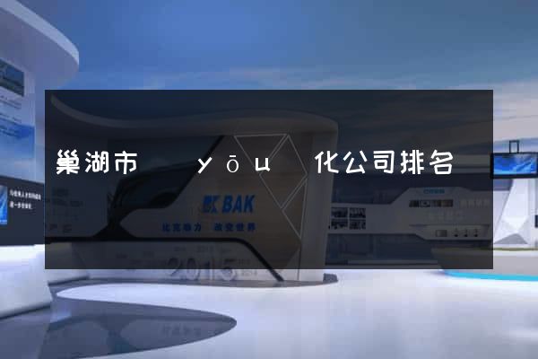 巢湖市優(yōu)化公司排名