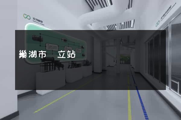 巢湖市獨立站運營