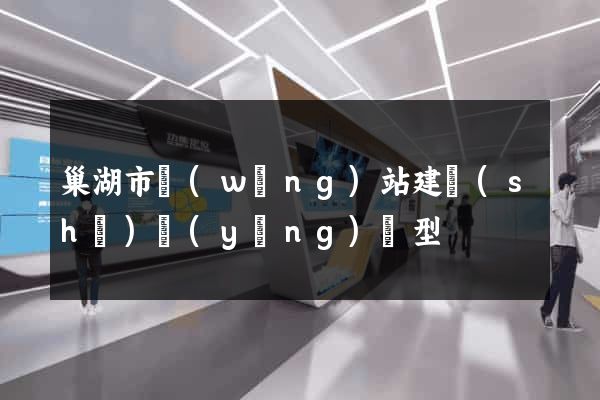 巢湖市網(wǎng)站建設(shè)營(yíng)銷型